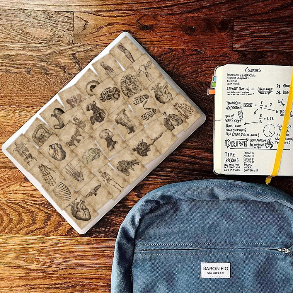 창의적인 인체 해부학 생리와 심장 두개골 의료 기관 스티커, 해골 그래피티 스티커, 수하물 노트북 스티커, 56 개