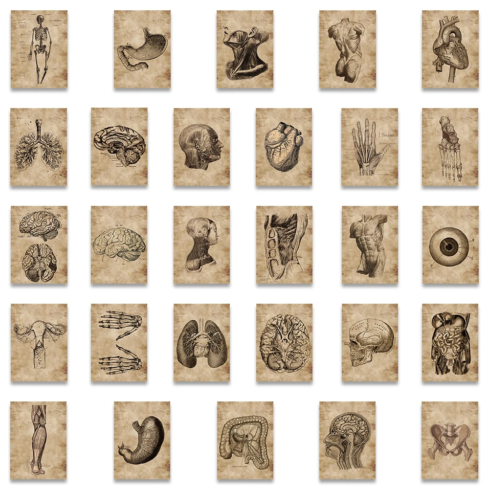 창의적인 인체 해부학 생리와 심장 두개골 의료 기관 스티커, 해골 그래피티 스티커, 수하물 노트북 스티커, 56 개