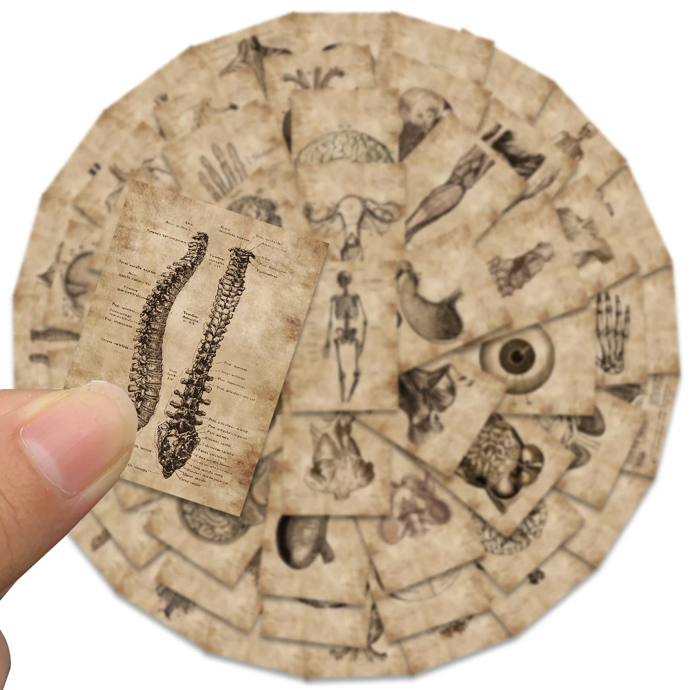 창의적인 인체 해부학 생리와 심장 두개골 의료 기관 스티커, 해골 그래피티 스티커, 수하물 노트북 스티커, 56 개