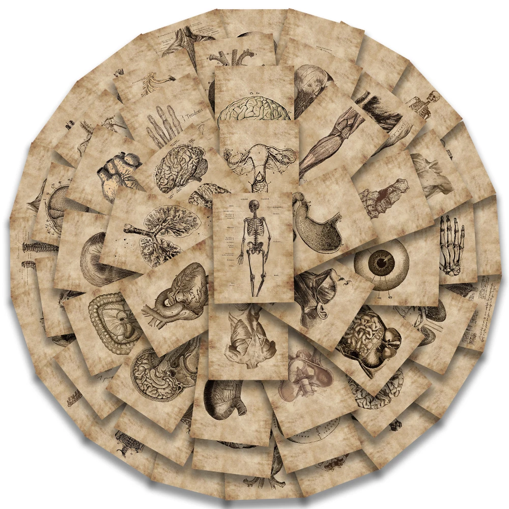 창의적인 인체 해부학 생리와 심장 두개골 의료 기관 스티커, 해골 그래피티 스티커, 수하물 노트북 스티커, 56 개