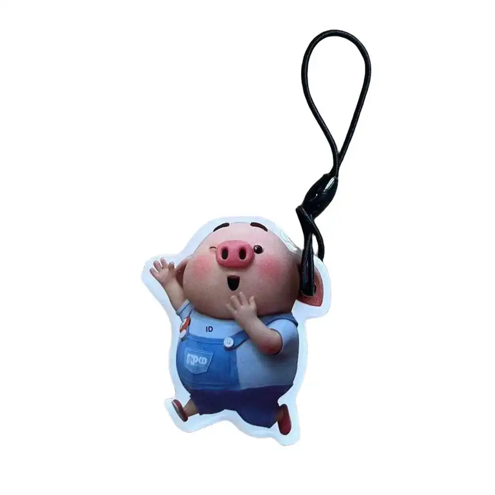 RFID EM4305 T5577 125KHz ID 키 태그, 읽기 쉬운 쓰기 가능 다시 쓰기 복사 복제 백업 Keyfob 빈 칩 카드, 1 개