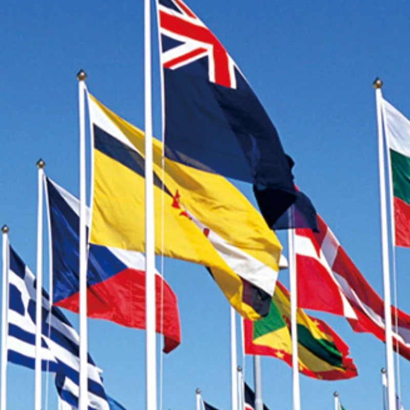 주문 제작 플래그 및 배너 플라잉 매다는 모든 사이즈 로고, 무료 디자인 광고, 폴리에스터 맞춤형 인쇄 장식 프로모션