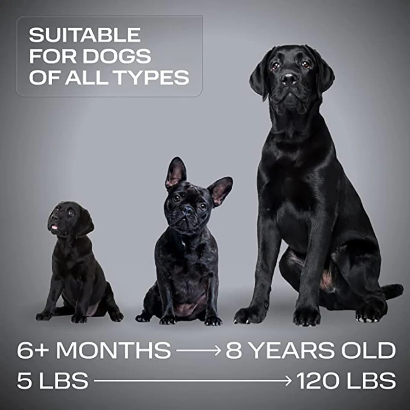 ABQP 초음파 애완견 개 Repeller 안티 짖는 중지 나무 껍질 훈련 장치 USB 충전식 고전력 개 훈련 구충제