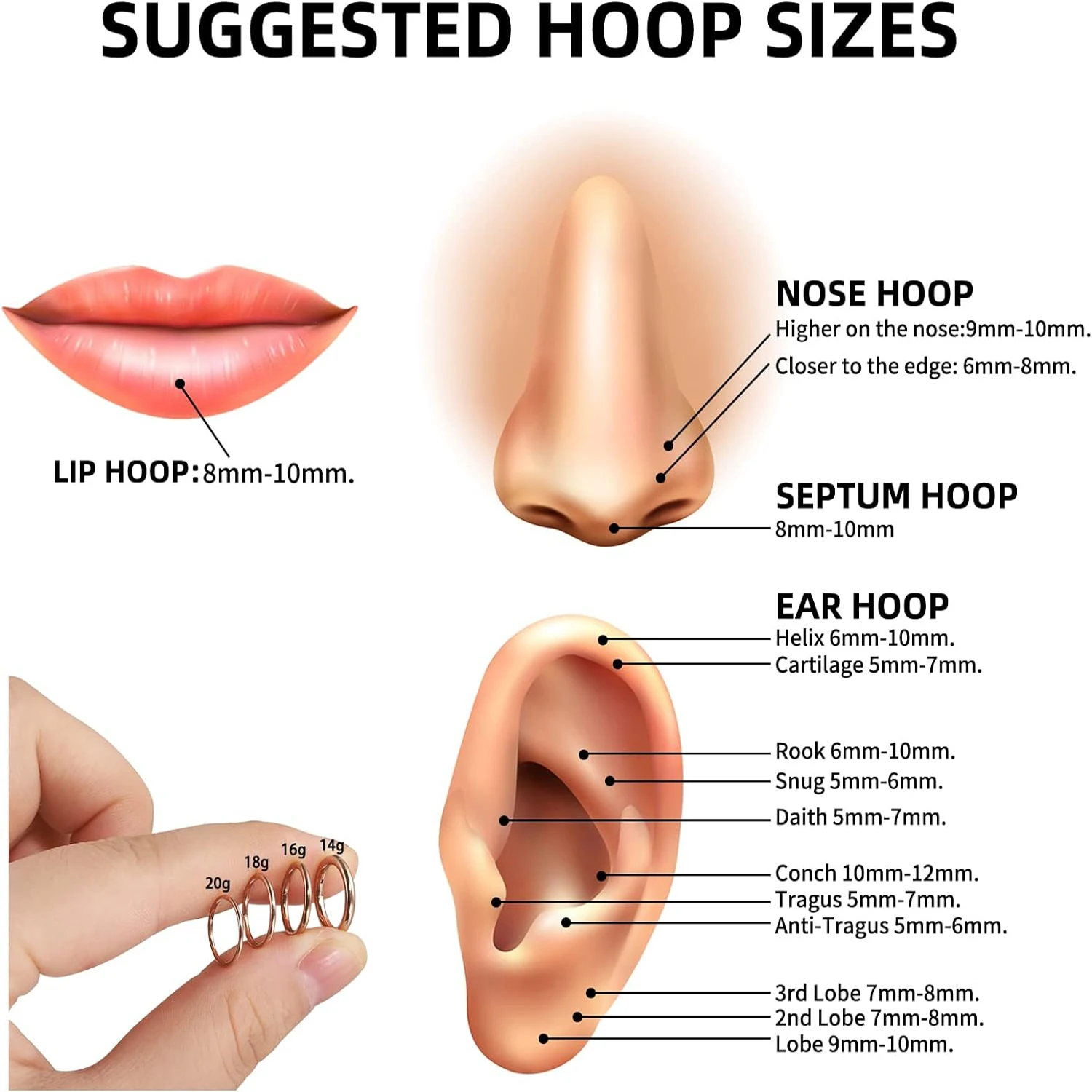 하트 힌지 코 링 후프 눈물방울 격막 후프 조가비 Daith 헬릭스 링 후프 루크 Tragus 링 립 링 연골 귀걸이 후프