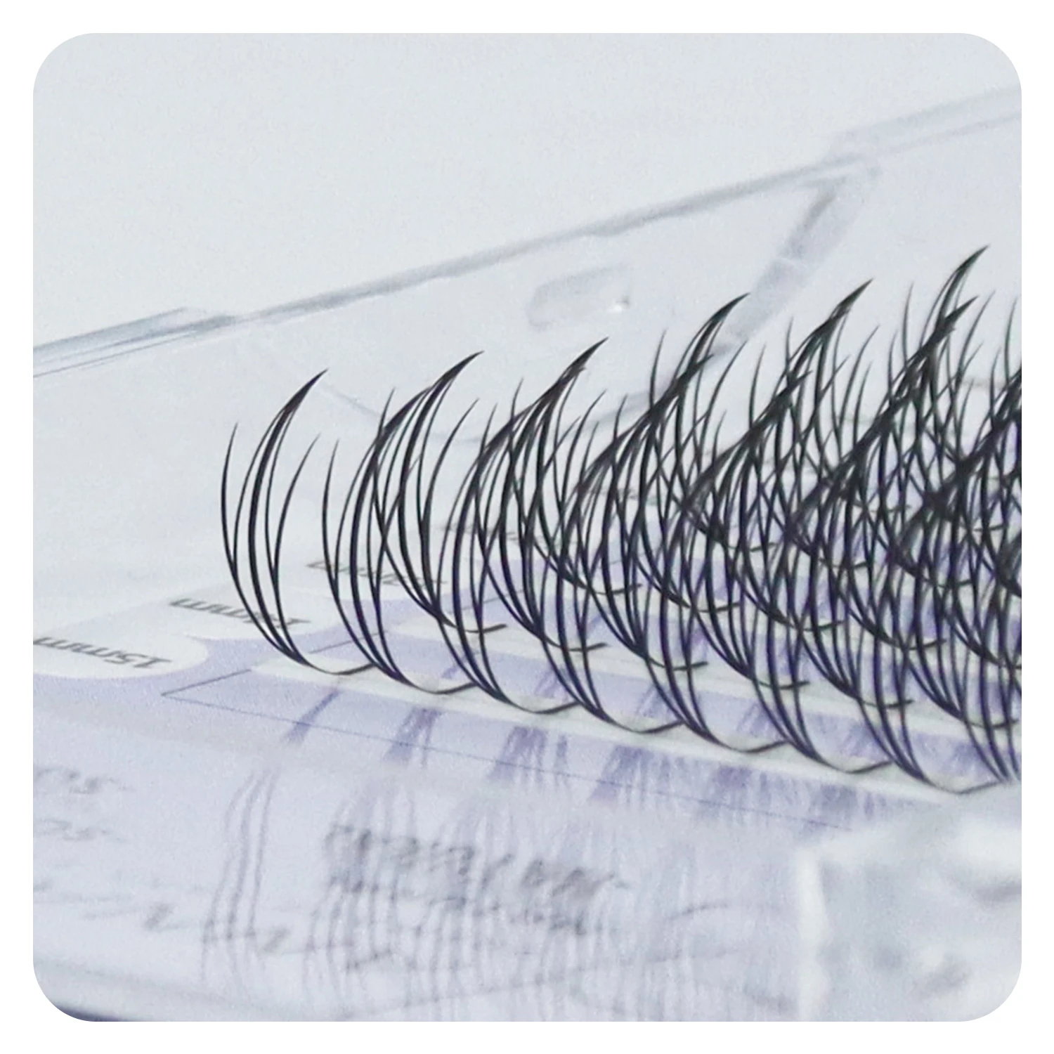 ANNAFRIS Comic Spire 속눈썹 연장 Premade Fans 천연 캐시미어 만화 가짜 속눈썹 자연 부드러운 깃털 모양 Pteris Lash